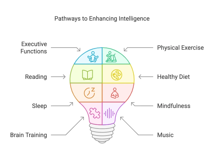 How to enhance intelligence- chart